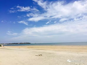 投资首选,稀缺资源 山东海景房投资分析