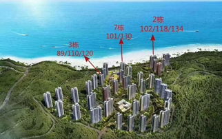 惠州碧桂园十里银滩维港湾 楼盘详情